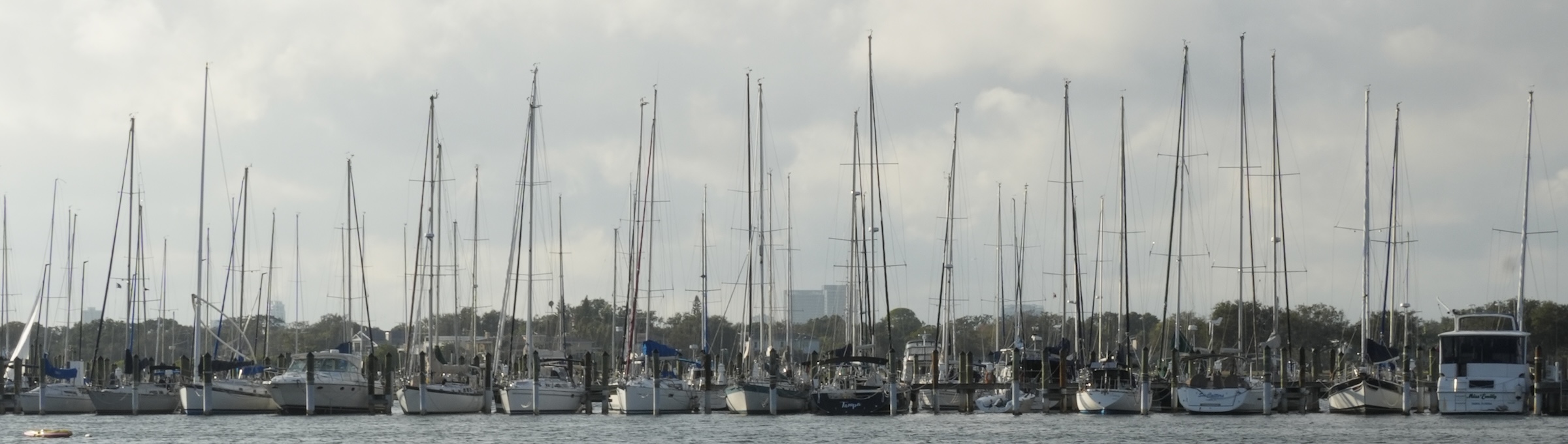 Sailboats at Davis Island marina in Tampa, Florida