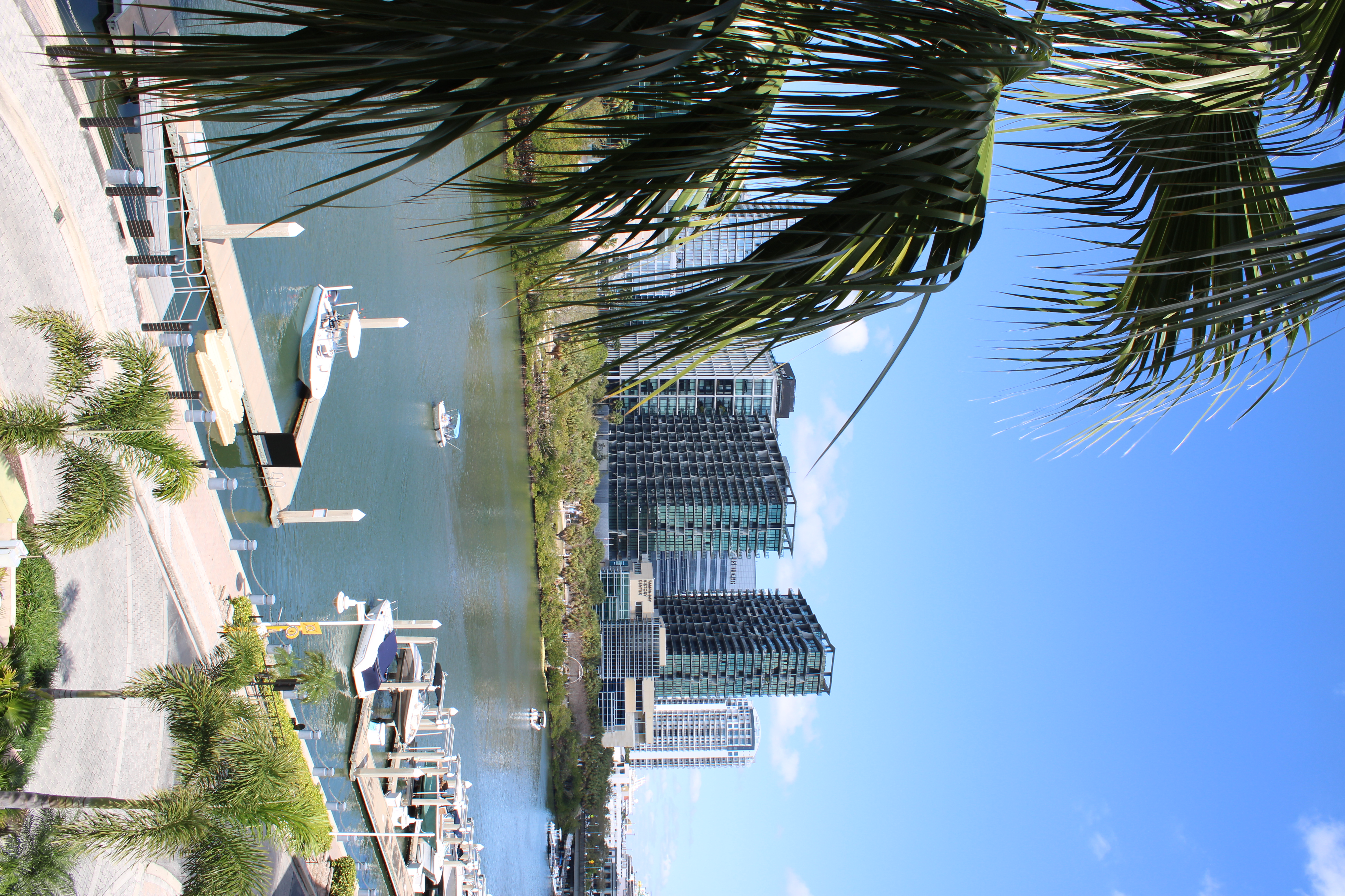 Wyatt working at the Harbour Island office in Tampa