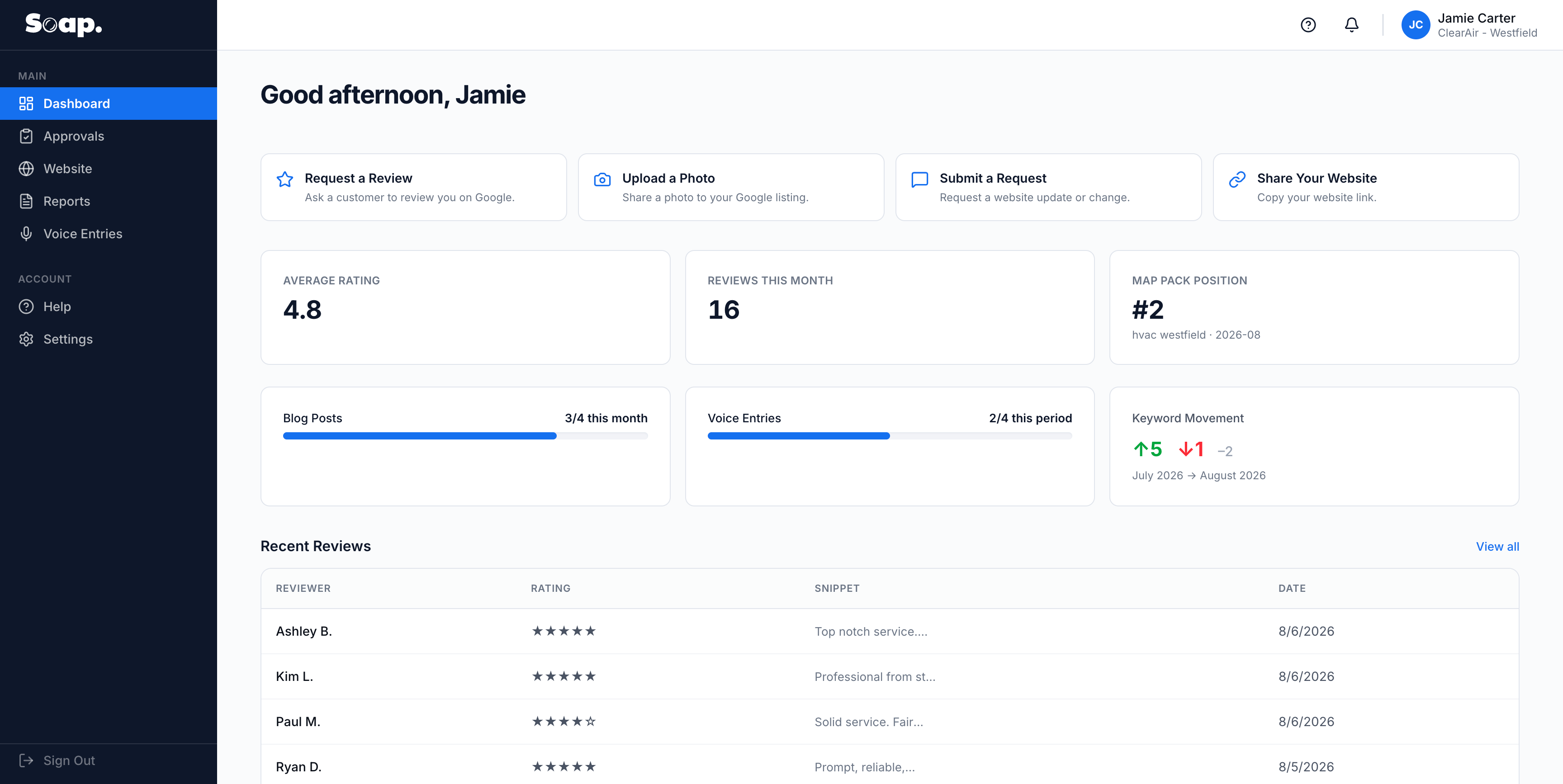 The Soap client dashboard, showing the overview screen with leads, rankings, reviews and traffic