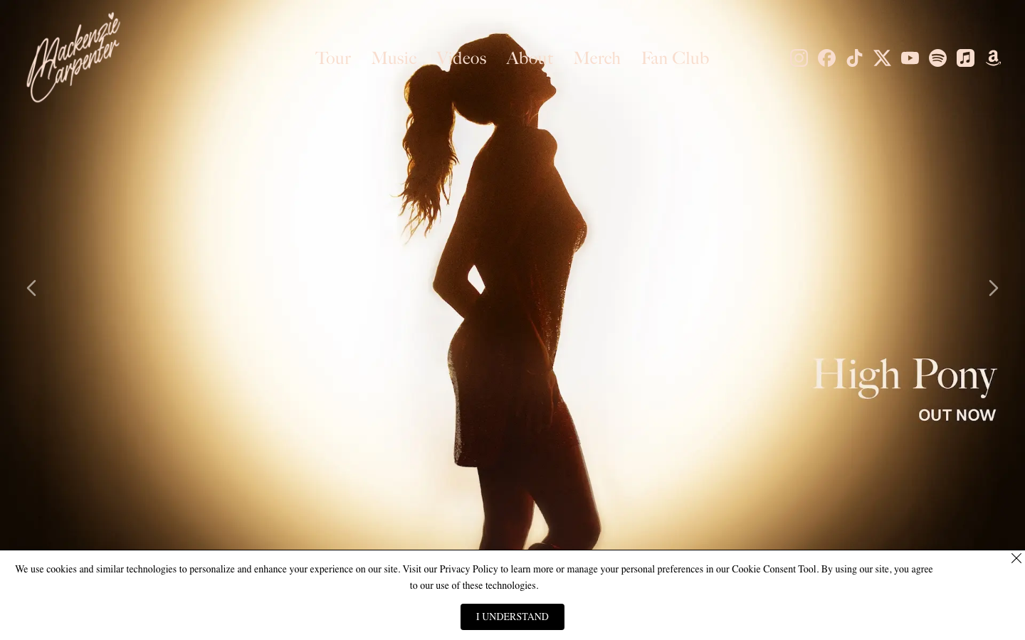 Mackenzie Carpenter website